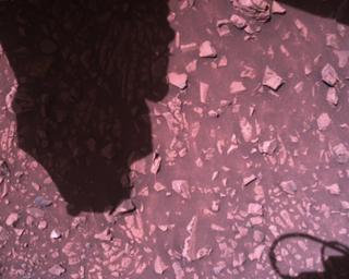 View image taken on Mars, Mars Perseverance Sol 1512: Rover Down-Look Camera