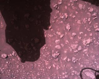 View image taken on Mars, Mars Perseverance Sol 1512: Rover Down-Look Camera