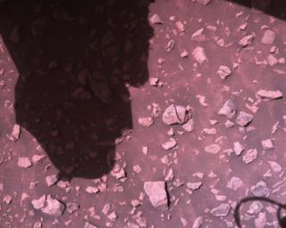 View image taken on Mars, Mars Perseverance Sol 1512: Rover Down-Look Camera