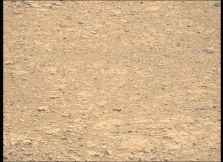 View image taken on Mars, Mars Perseverance Sol 1512: Left Mastcam-Z Camera