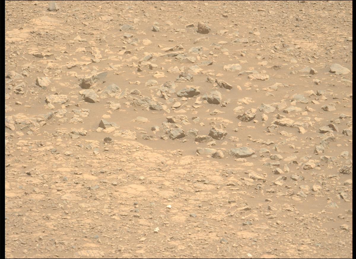 This image was taken by MCZ_LEFT onboard NASA's Mars rover Perseverance on Sol 1512