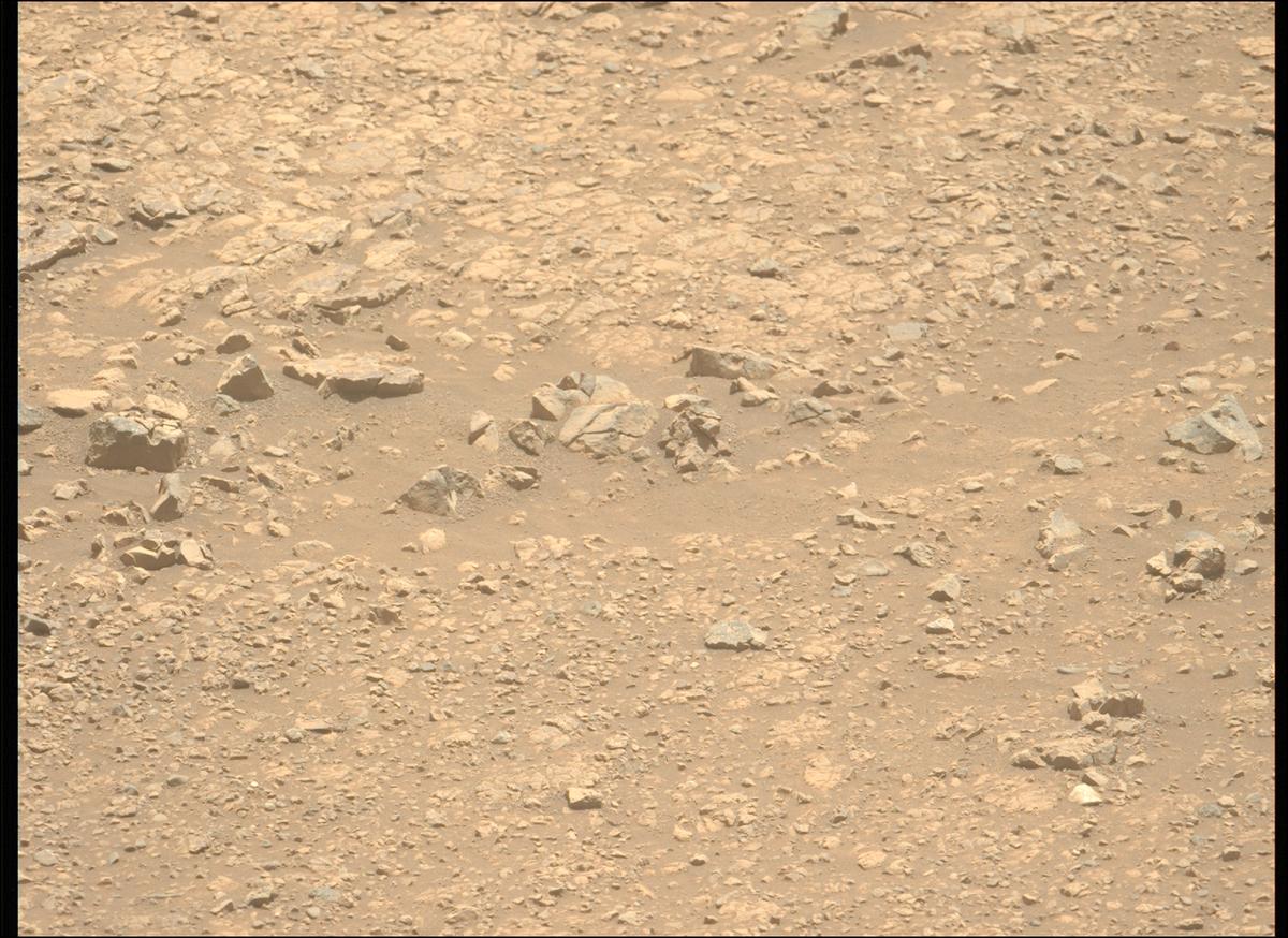 This image was taken by MCZ_LEFT onboard NASA's Mars rover Perseverance on Sol 1512