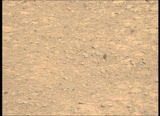 View image taken on Mars, Mars Perseverance Sol 1512: Left Mastcam-Z Camera