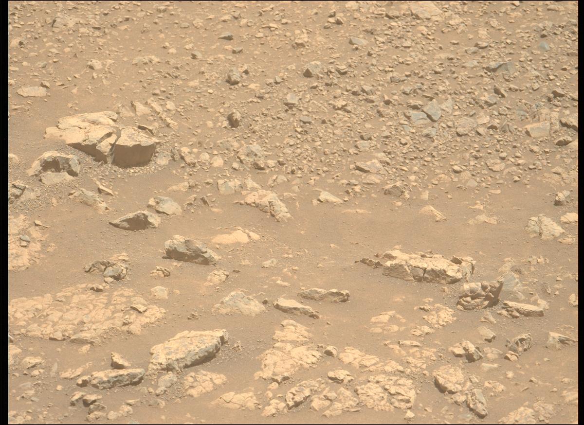 This image was taken by MCZ_LEFT onboard NASA's Mars rover Perseverance on Sol 1512