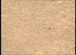 View image taken on Mars, Mars Perseverance Sol 1512: Right Mastcam-Z Camera
