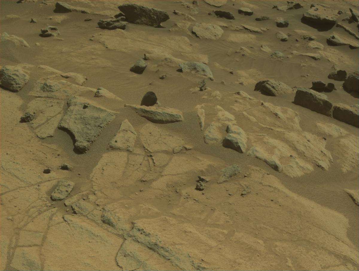 This image was taken by NAVCAM_RIGHT onboard NASA's Mars rover Perseverance on Sol 1513