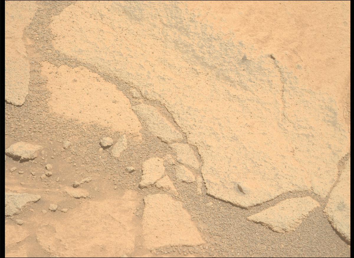 This image was taken by MCZ_LEFT onboard NASA's Mars rover Perseverance on Sol 1513