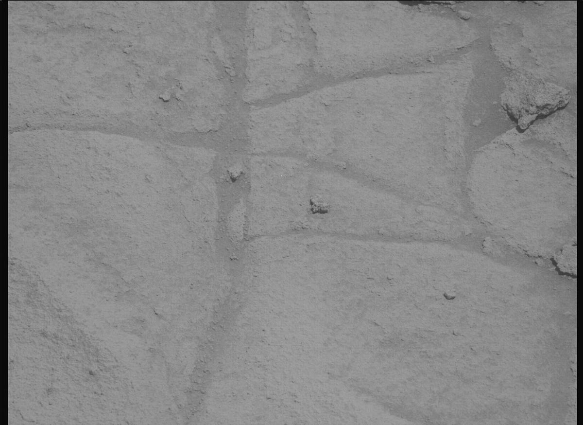 This image was taken by MCZ_LEFT onboard NASA's Mars rover Perseverance on Sol 1513