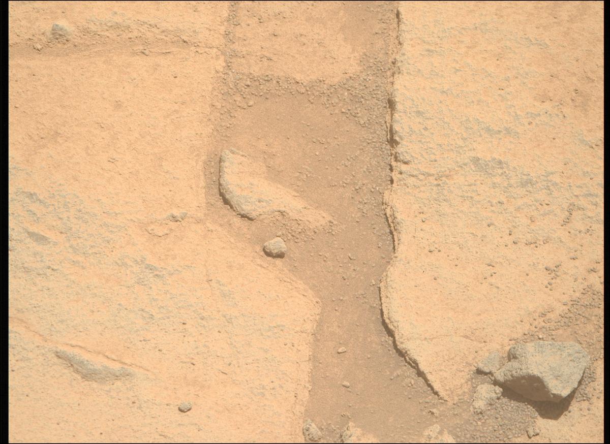 This image was taken by MCZ_RIGHT onboard NASA's Mars rover Perseverance on Sol 1513