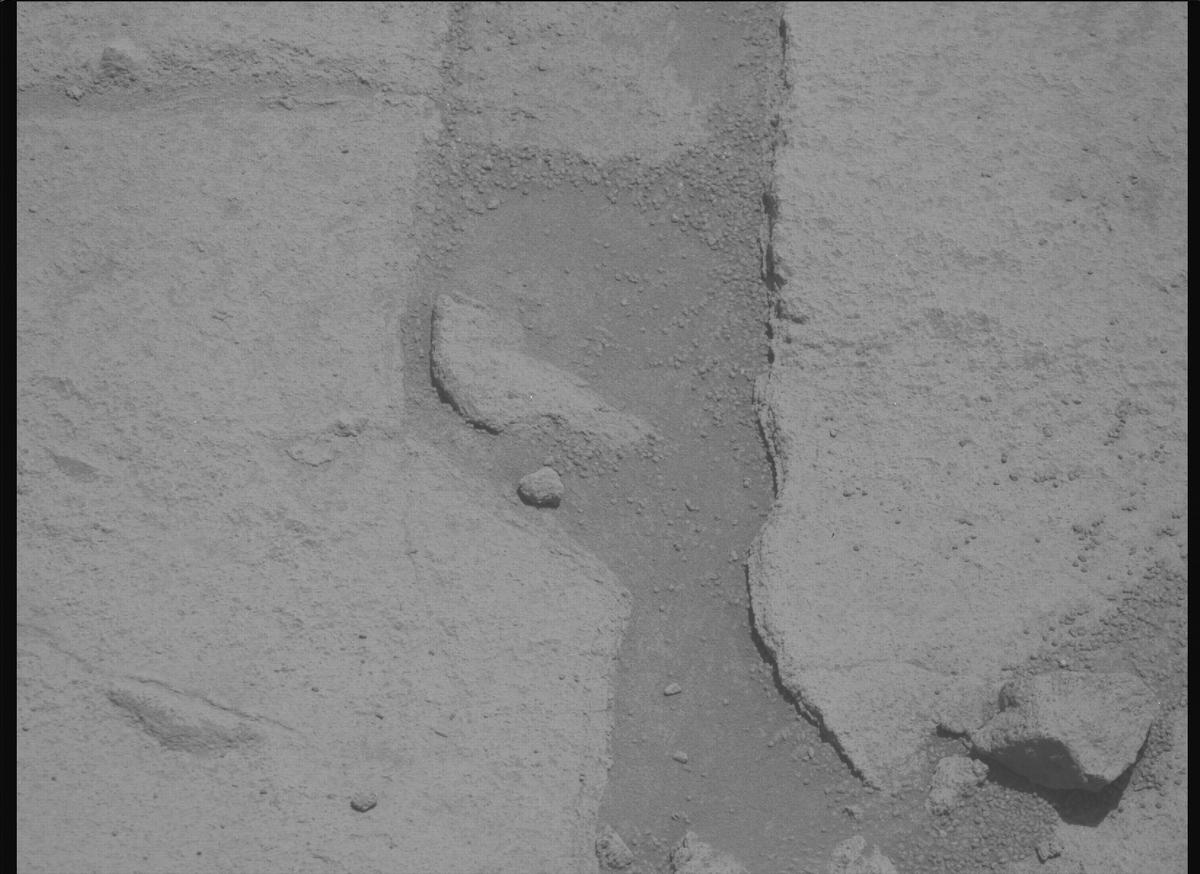 This image was taken by MCZ_RIGHT onboard NASA's Mars rover Perseverance on Sol 1513