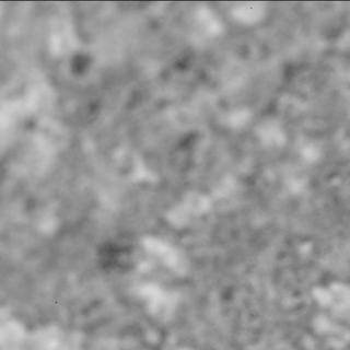 View image taken on Mars, Mars Perseverance Sol 1515: SHERLOC ACI Camera 