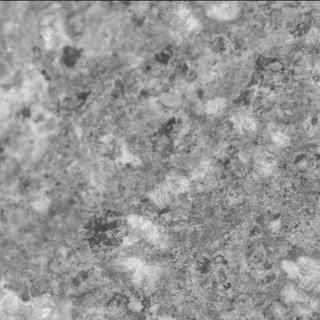 View image taken on Mars, Mars Perseverance Sol 1515: SHERLOC ACI Camera 