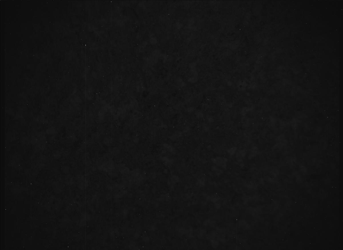 This image was taken by SHERLOC_ACI onboard NASA's Mars rover Perseverance on Sol 1515