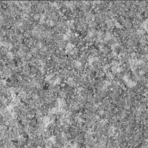 This image was taken by SHERLOC_WATSON onboard NASA's Mars rover Perseverance on Sol 1515