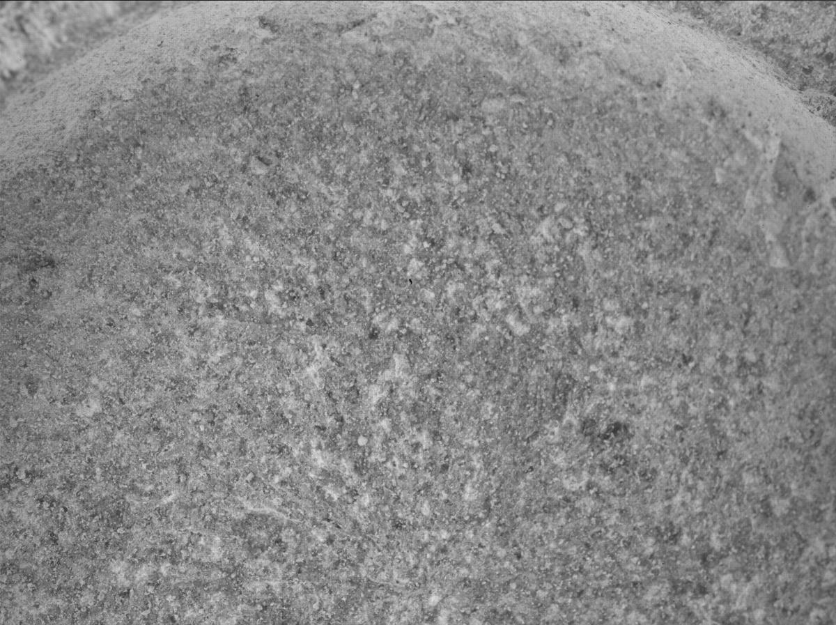 This image was taken by SHERLOC_WATSON onboard NASA's Mars rover Perseverance on Sol 1515