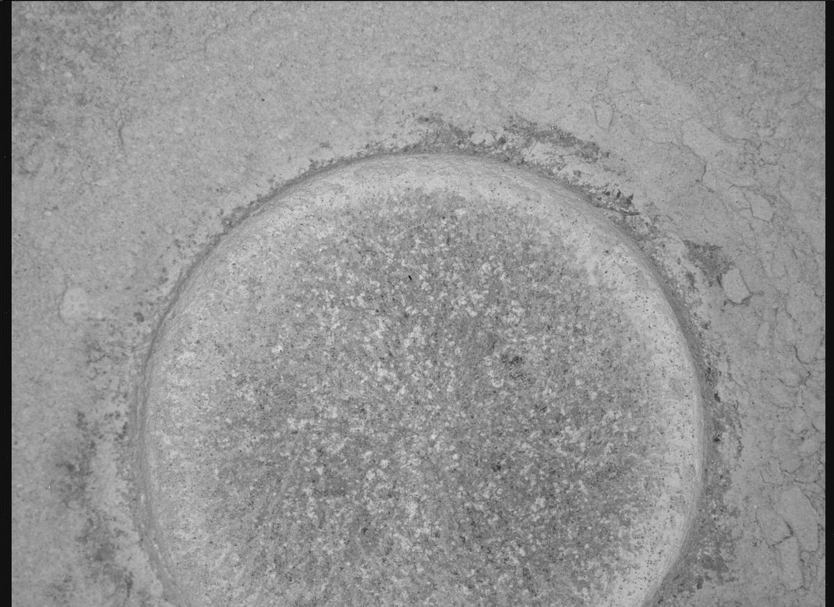 This image was taken by SHERLOC_WATSON onboard NASA's Mars rover Perseverance on Sol 1515