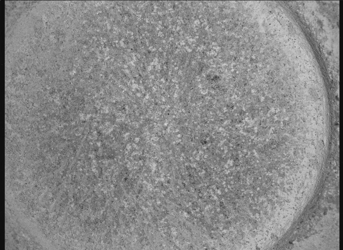 This image was taken by SHERLOC_WATSON onboard NASA's Mars rover Perseverance on Sol 1515