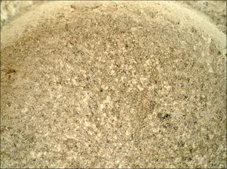 View image taken on Mars, Mars Perseverance Sol 1515: WATSON Camera 