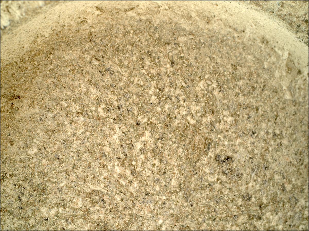 This image was taken by SHERLOC_WATSON onboard NASA's Mars rover Perseverance on Sol 1515