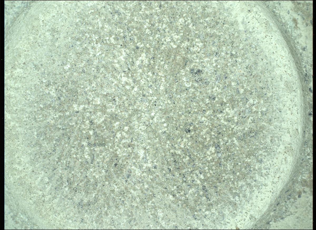 This image was taken by SHERLOC_WATSON onboard NASA's Mars rover Perseverance on Sol 1515