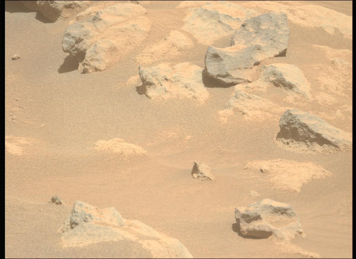 This image was taken by MCZ_LEFT onboard NASA's Mars rover Perseverance on Sol 1516
