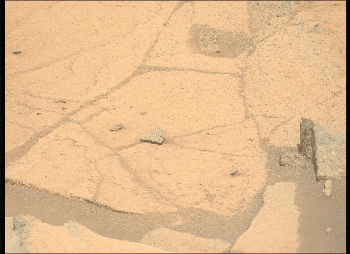 This image was taken by MCZ_LEFT onboard NASA's Mars rover Perseverance on Sol 1516