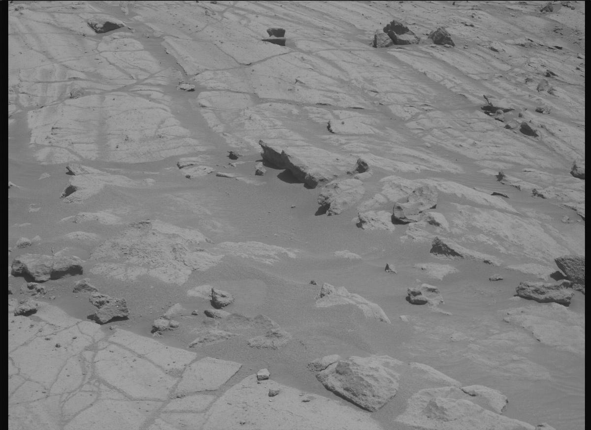 This image was taken by MCZ_LEFT onboard NASA's Mars rover Perseverance on Sol 1516