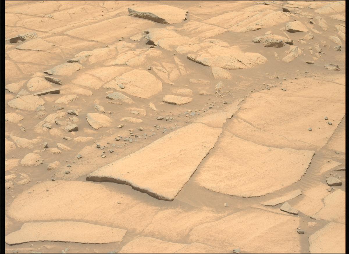 This image was taken by MCZ_LEFT onboard NASA's Mars rover Perseverance on Sol 1516