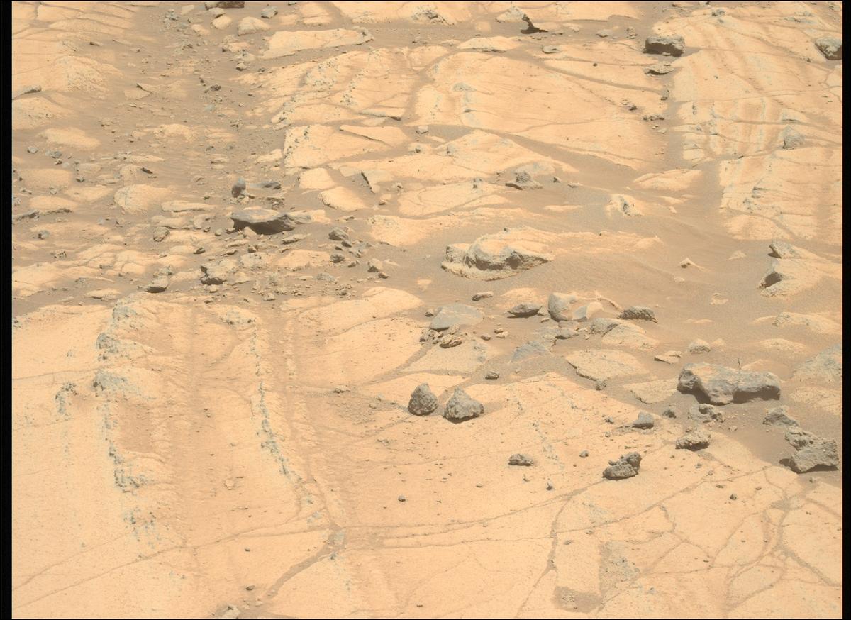 This image was taken by MCZ_LEFT onboard NASA's Mars rover Perseverance on Sol 1516