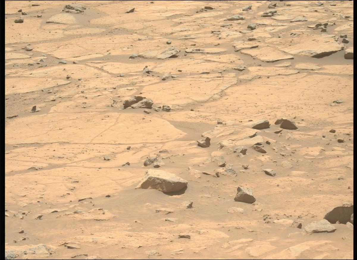 This image was taken by MCZ_LEFT onboard NASA's Mars rover Perseverance on Sol 1516