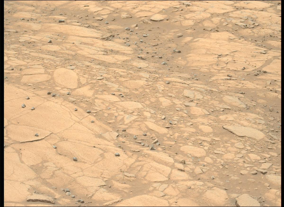 This image was taken by MCZ_LEFT onboard NASA's Mars rover Perseverance on Sol 1516