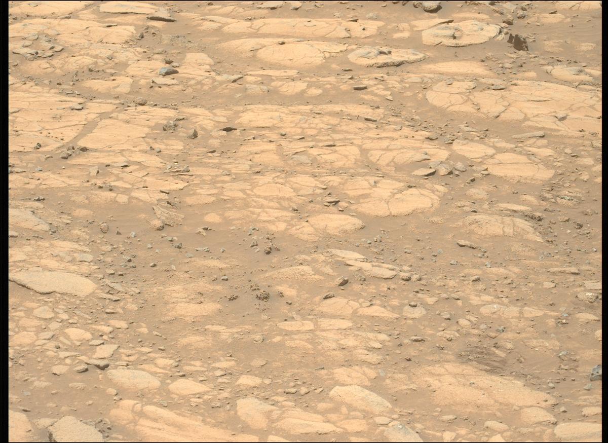 This image was taken by MCZ_LEFT onboard NASA's Mars rover Perseverance on Sol 1516