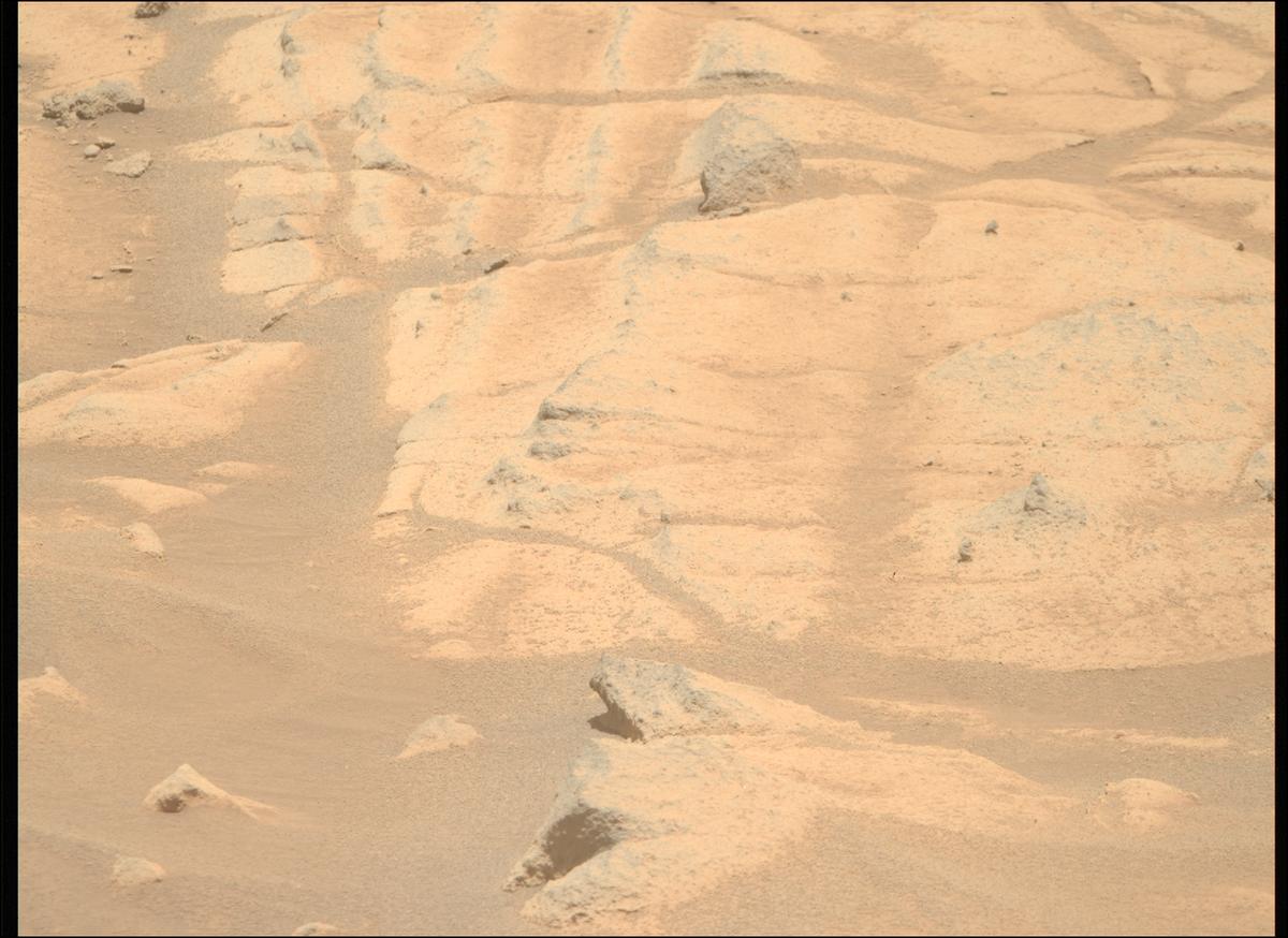 This image was taken by MCZ_RIGHT onboard NASA's Mars rover Perseverance on Sol 1516