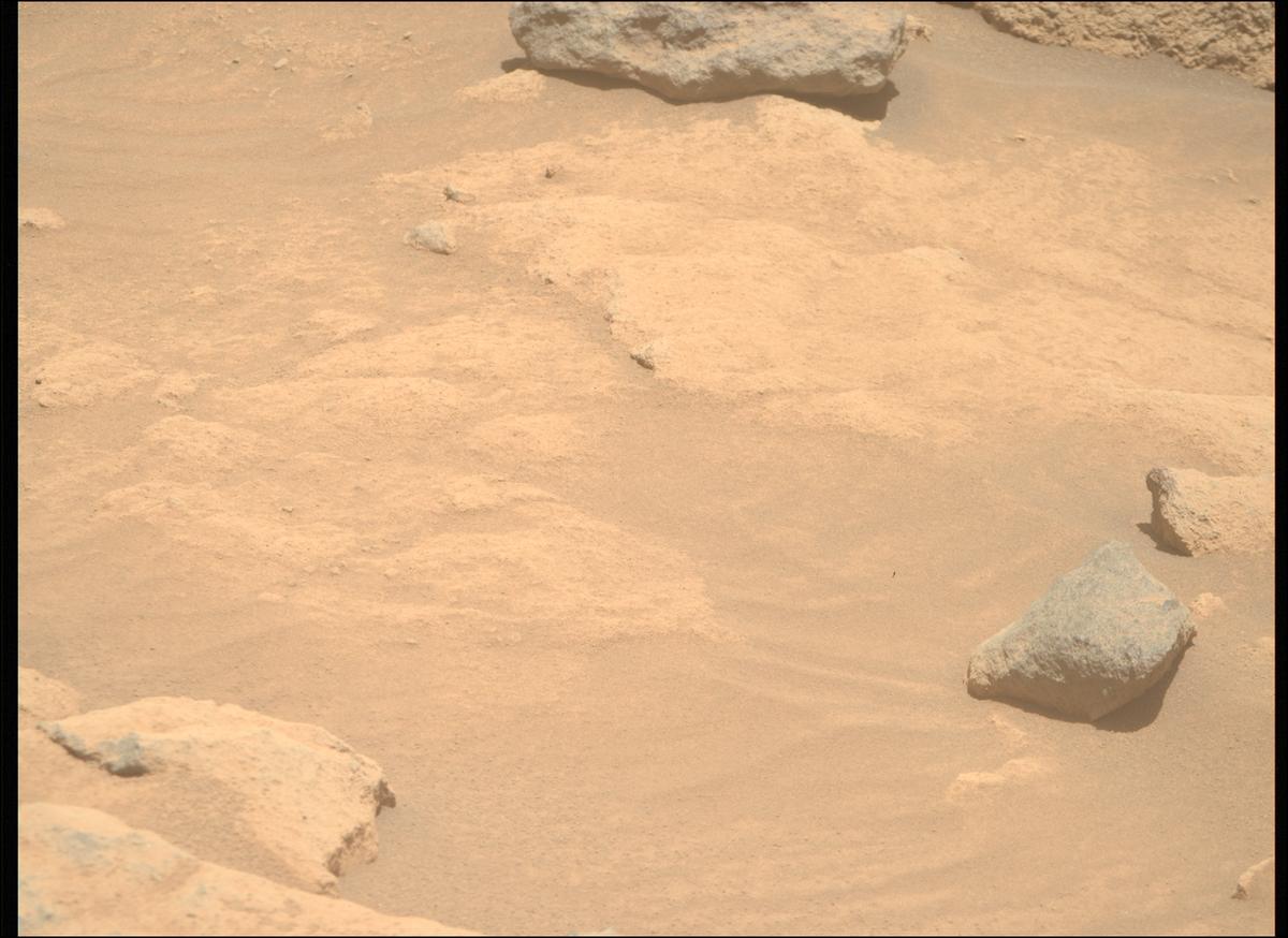 This image was taken by MCZ_RIGHT onboard NASA's Mars rover Perseverance on Sol 1516
