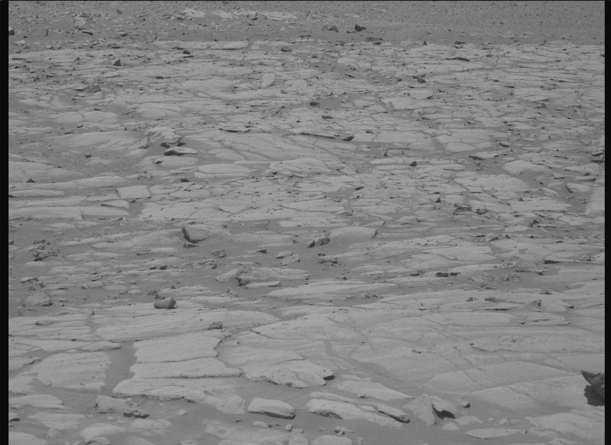 This image was taken by MCZ_RIGHT onboard NASA's Mars rover Perseverance on Sol 1516