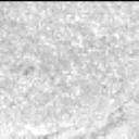 This image was taken by MCZ_LEFT onboard NASA's Mars rover Perseverance on Sol 1517