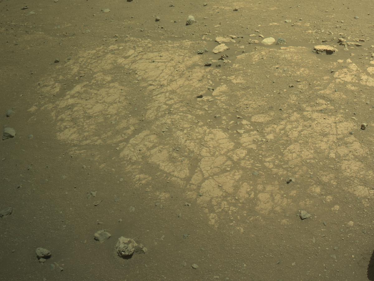 This image was taken by NAVCAM_LEFT onboard NASA's Mars rover Perseverance on Sol 1519