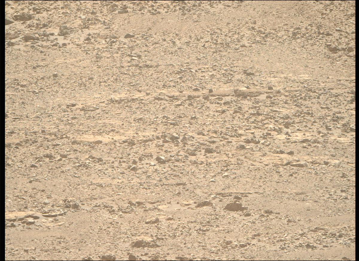 This image was taken by MCZ_RIGHT onboard NASA's Mars rover Perseverance on Sol 1520