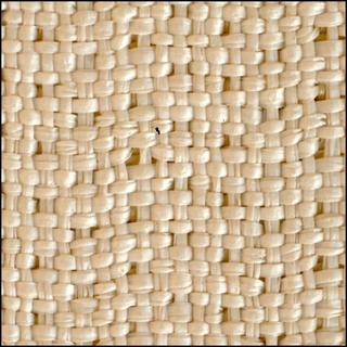 View image taken on Mars, Mars Perseverance Sol 1521: WATSON Camera 