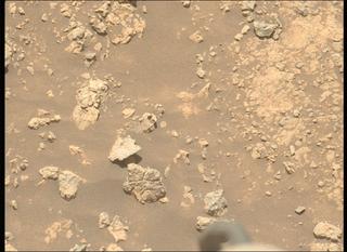 View image taken on Mars, Mars Perseverance Sol 1521: Left Mastcam-Z Camera