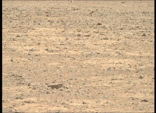 View image taken on Mars, Mars Perseverance Sol 1521: Right Mastcam-Z Camera