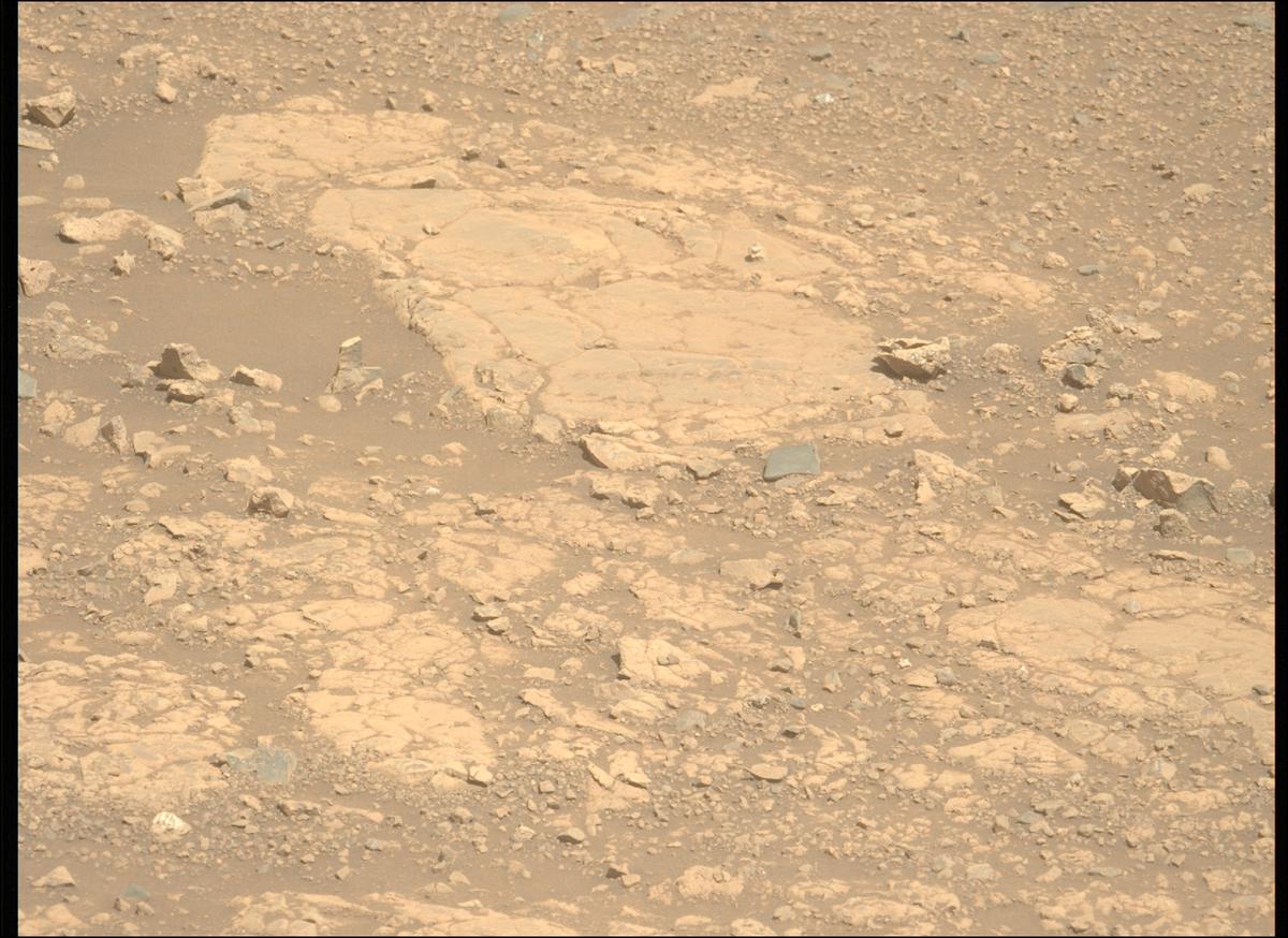 This image was taken by MCZ_LEFT onboard NASA's Mars rover Perseverance on Sol 1524