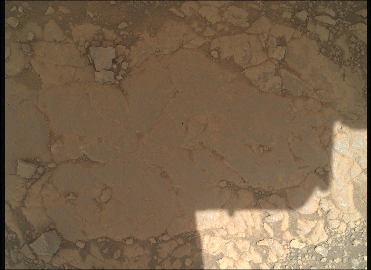 This image was taken by SHERLOC_WATSON onboard NASA's Mars rover Perseverance on Sol 1525