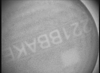 View image taken on Mars, Mars Perseverance Sol 1526: SHERLOC ACI Camera 