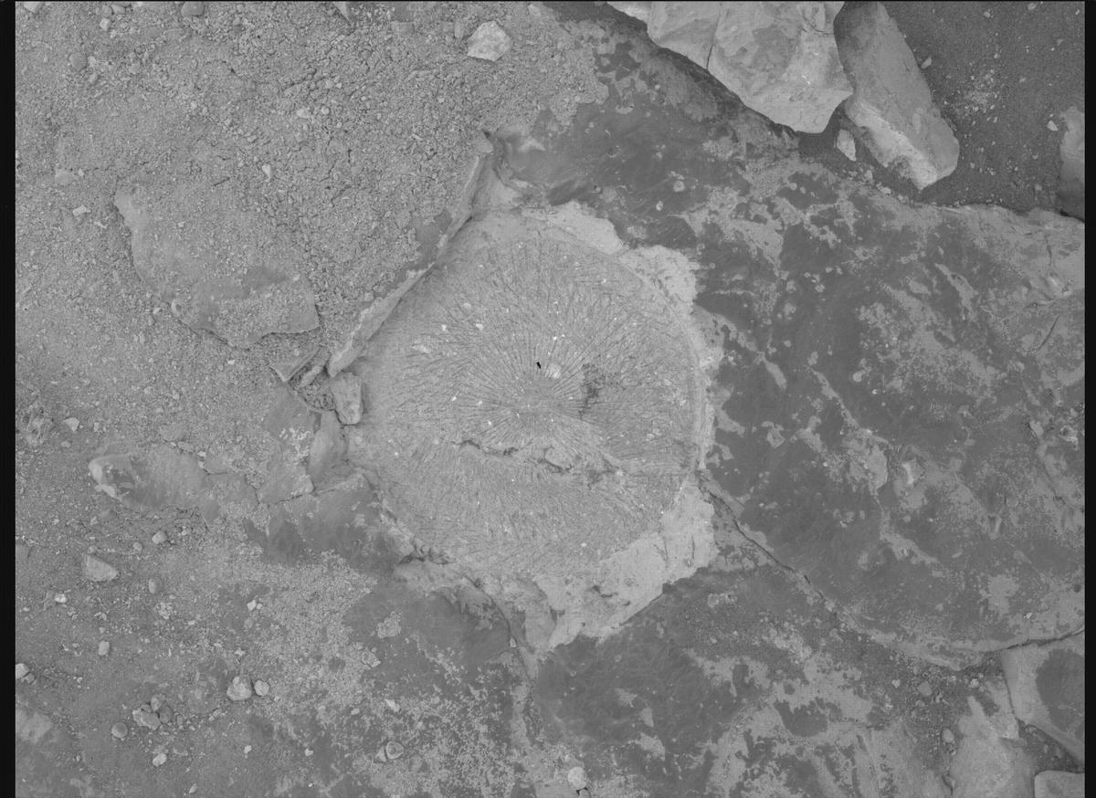 This image was taken by SHERLOC_WATSON onboard NASA's Mars rover Perseverance on Sol 1526