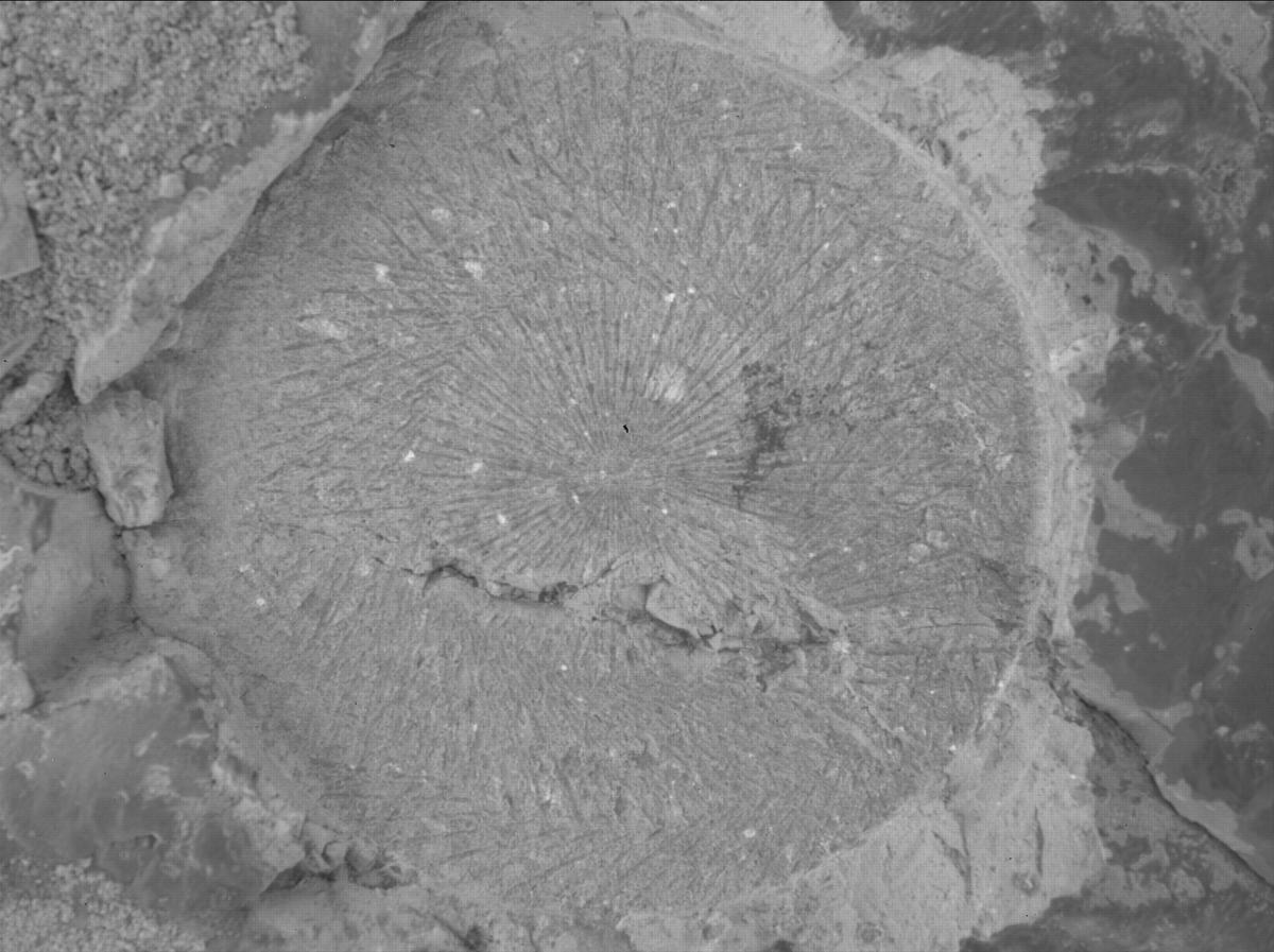 This image was taken by SHERLOC_WATSON onboard NASA's Mars rover Perseverance on Sol 1526