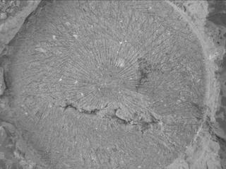 View image taken on Mars, Mars Perseverance Sol 1526: WATSON Camera 