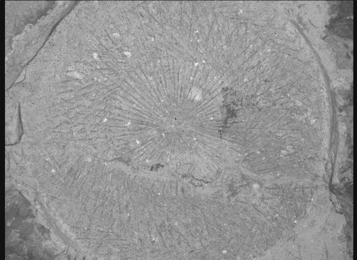 This image was taken by SHERLOC_WATSON onboard NASA's Mars rover Perseverance on Sol 1526