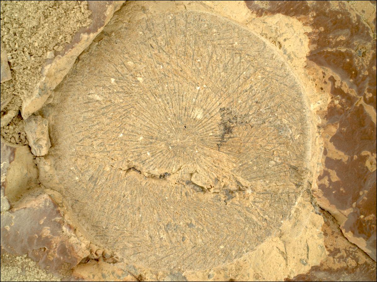 This image was taken by SHERLOC_WATSON onboard NASA's Mars rover Perseverance on Sol 1526