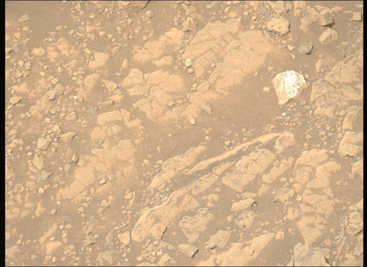 This image was taken by MCZ_LEFT onboard NASA's Mars rover Perseverance on Sol 1527